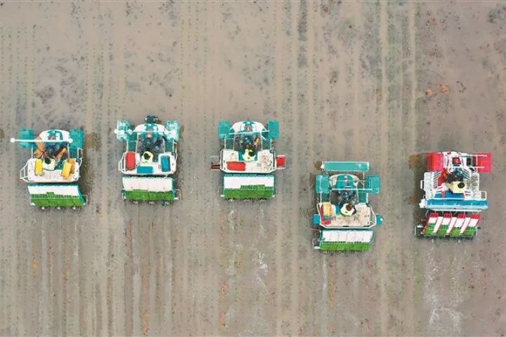 【機械化+智能化】北大荒集團水稻插秧拉開帷幕